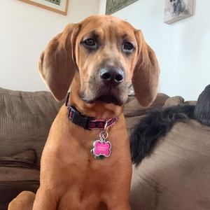 Meet your Posher, Carey